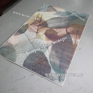 Разноцветный Ковер Дизайн 30831